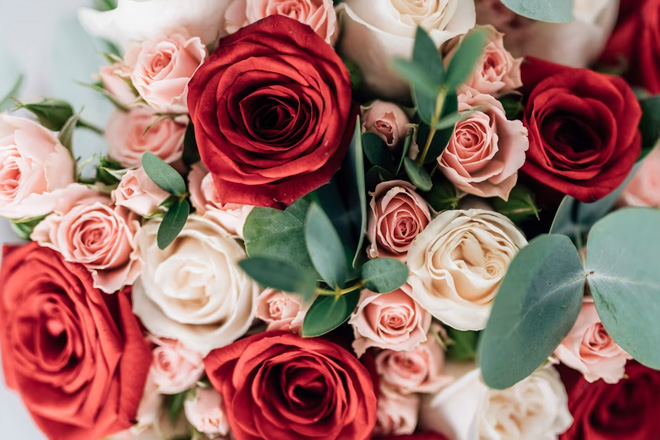 ความหมายของดอกกุหลาบ ความหมายของดอกกุหลาบ